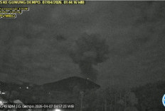 Erupsi Dini Hari, Kolom Abu Gunung Dempo Capai 2,5 Kilometer