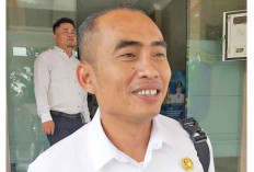 Gajah Sudah Keluar Permukiman, Warga Diminta Tetap Waspada 