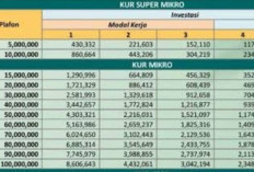 Cara dan Syarat Mengajukan Pinjaman KUR BSI 2025: Solusi Modal Usaha Hingga Rp500 Juta