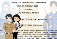 Aturan Baru, Mulai 2024 Hanya Ada 3 Jenis ASN, Ini Rinciannya 