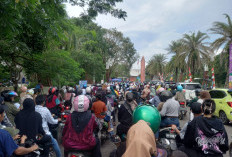 Ribuan Warga Padati JSC, Panjat Pinang HUT RI ke-80 Jadi Magnet Hiburan Rakyat