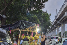 Trotoar Berubah Jadi Pasar Durian, Warga Jakabaring Teriak Minta Penertiban