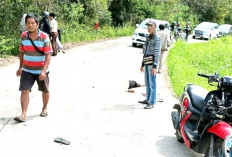 ASN PPPK Puskesmas Batumarta Tewas Kecelakaan Saat Pulang Kerja di Jalan Cor Beton OKU