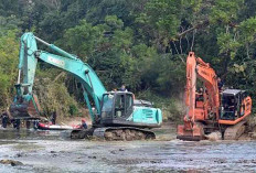 Geledah 3 Rumah Diduga Bos Tambang Batu Bara Ilegal, Satgas PETI Amankan 3 Excavator Sembunyikan dalam Hutan 