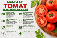 Kenali Manfaat Tomat bagi Kesehatan Tubuh Sehari-hari