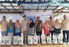 Bulog OKU Salurkan 966,46 Ton Beras Bantuan Pangan