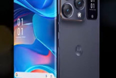 Motorola Edge 80  Kemewahan Futuristis  Dominasi Kecepatan di Era Intelegensi Seluler
