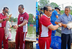 Wujudkan Ketahanan dan Swasembada Pangan, Kapolda Sumsel Panen 2,5 Ton Ikan, Dibagikan ke Masyarakat Slum Area