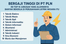 Bergaji Tinggi di PT PLN, Ini Top 10 Jurusan yang Alumninya Banyak Bekerja di Perusahaan Listrik Negara Itu