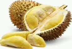 Pahami 10 Jenis Durian Terpopuler di Indonesia