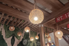 7 Rekomendasi Lampu Gantung Hias untuk Mempercantik Tempat Usaha dan Menarik Lebih Banyak Pelanggan