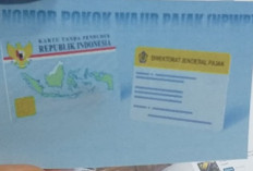 Gak Paket Ribet! Ini Cara Membuat NPWP Mudah dan Cepat via Online, Cukup dari Rumah