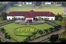 Ingin Jadi Praja IPDN 2025? Ini Panduan Lengkap Pendaftaran, Syarat, dan Tahapan Seleksinya