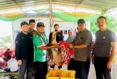 UM Palembang Rayakan Iduladha 1446 H dengan Potong 17 Sapi dan Bagikan 1.336 Kupon Daging