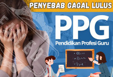 Hindari! Inilah Sejumlah Kesalahan yang Bisa Membuat Peserta Gagal Lulus PPG Guru Tertentu