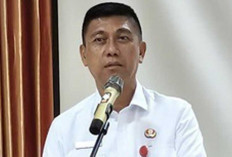 Pengangguran di Sumsel Menurun, Pemerintah Siapkan Peta Khusus dan Perluas Pelatihan Kerja