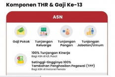 Inilah Besaran THR dan Gaji ke-13 yang Akan Diterima PNS dan PPPK pada Tahun 2025