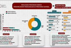 Kampanye Keuangan, Blokir Situs Pinjol, Sumsel  Pengaduan Tertinggi 