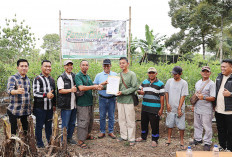 Transformasi PETI Sukses di Desa Darmo, Panen Cabai dan Kerja Sama Bisnis Baru