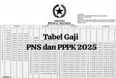 Tabel Gaji PNS dan PPPK 2025