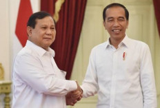 Maruarar Sirait: Jokowi-Prabowo, Dua Pemimpin Kelas Dunia yang Membanggakan Indonesia