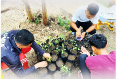 Cocok Tanam di Sarana Asimulasi, Bekali Warga Binaan Lapas Kelas II Kayuagung Keterampilan Aplikatif