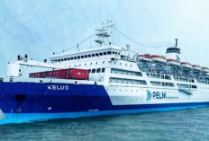 PT PELNI Buka Rekrutmen Pegawai Laut 2025, Kesempatan Berkarier di Kapal Barang dan Perintis, Daftar Yuk!