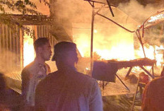 Kebakaran Hebat Landa Pasar Buah Tanjung Raja, 4 Toko Hangus, Begini Kejadiannya!