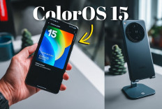 Daftar Perangkat Oppo yang Telah Mendapatkan Update ColorOS 15, Berikut Jadwal Rilisnya