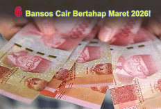 6 Bansos Cair Bertahap Maret 2026! Eks Penerima BLT Kesra Berpeluang Jadi KPM Reguler PKH dan BPNT