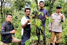 Usulkan Pengelolaan Hutan Berbasis Masyarakat melalui Skema Hutan Desa dan Hutan Adat