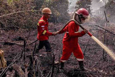 6 Hektare Lahan Terbakar di Banyuasin: BPBD Siaga 24 Jam, Ini Langkah Antisipasinya!