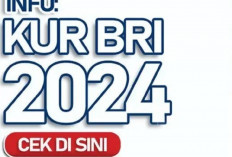 Tabel  KUR BRI 2024, Solusi Pembiayaan bagi UMKM