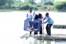  Gubernur : Ide Sumatera Ekspres Kreatif, Lomba Mancing Satukan Hobi, Hiburan dan Kebahagiaan Masyarakat