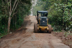Tepati Janji kepada Warga, Bupati Toha Tohet Gerak Cepat Perbaiki Jalan Strategis di Lawang Wetan