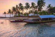 6 Fakta Pulau Galang yang Disebut Calon Lokasi Penampungan Etnis Rohingya