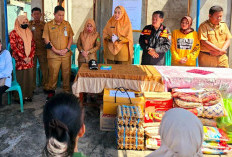 7 Rumah Ludes Terbakar, BKPSDM Turun Tangan Salurkan Bantuan untuk Korban di Desa Seguring Kecil