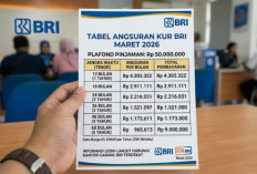 Tabel KUR BRI Maret 2026 Pinjaman Rp50 Juta, Simulasi Cicilan Ringan untuk Tambah Modal Usaha