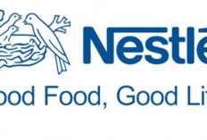Nestle Indonesia Membuka Peluang Karir Melalui MFF Leadership Program, Kirim Lamaranmu di Sini!