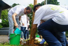 Wujud Dukungan Pelestarian Alam: Bandara SMB II Tanam Ribuan Pohon
