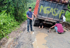 Bina Marga Siap Cek Kerusakan Jalan Desa Tanjung Kupang Baru 