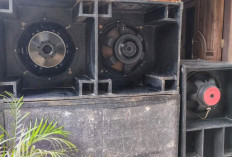 Inilah Rekomendasi Box Speaker Bass Jauh, Cocok Buat Lapangan Outdoor Dangdut Hajatan dan Konser