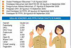 Tak Ada Perpanjangan Tambahan, Pemda Bisa Gunakan BTT untuk Bayar Gaji PPPK Paruh Waktu