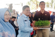Bisa Dimanfaatkan Untuk Konsumsi Sendiri, Dua Kelurahan Mendapatkan Bibit Cabai