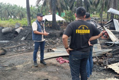 Penyulingan Minyak Ilegal di Keluang Muba Terbakar, Satu Orang Luka, Polisi Selidiki Penyebab