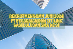 Rekrutmen BUMN Juni 2024: PT Pegadaian dan Citilink Buka Loker untuk Lulusan SMA, D3 dan S1, Simak Formasinya