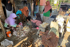 Sentuhan PHE Jambi Merang Ubah Singkong Jadi Sumber Harapan