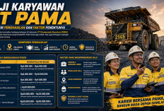 Wow Banget! Daftar Gaji PT PAMA dari Operator Sampai General Manager