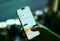 Bitcoin Halving Effect 2026: Dampaknya ke Bitcoin dan Altcoin