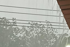 Cuaca Sumsel Jumat 20 Juni 2025, Hujan Merata, Waspadai Petir di Beberapa Wilayah